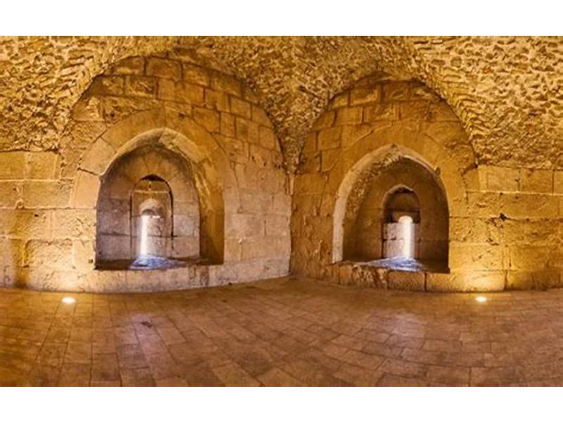 Jerash and Ajloun Castle Day Tour from Amman (AC-JHT-006)